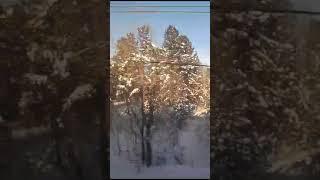 The train goes through Siberia respect #shorts #train #travel #winter #landscape #nature #Siberia