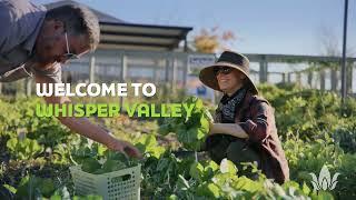 Welcome to Whisper Valley