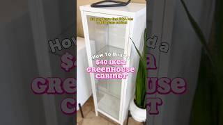 How to Build a $40 DIY IKEA Greenhouse Cabinet #shorts #baggebo #diy #greenhouse #houseplants #tips