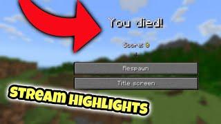 Worst Possible Death In Minecraft! (Stream Highlights)