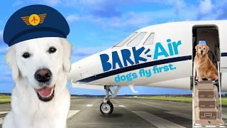 Flying On The World's FIRST Dog Airline BARK Air!