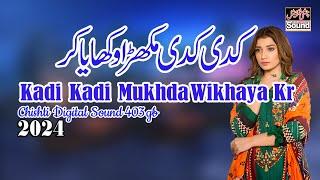 Kadi Kadi Mukhda Wikhaya Kr || New Punjabi Sariki 2025 || ChishtiDigital Sound 403