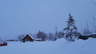 Yukon wildlife preserve#Whitehorse