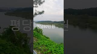 세종시토지 싼땅  01066027798 #short