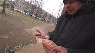 Лудоман-Ёшкин покрывает ВОРОВКУ-МОНАШКУ!!! Пропажа цветов из подъезда!!! Сдача металла!!!