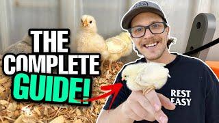 How To Raise New Baby Chicks | The ULTIMATE Guide!