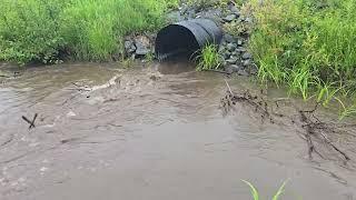 Unclogging A Culvert Raw Footage