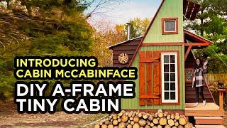 "Cabin McCabinface" - Offbeat Tiny A-Frame Cabin Built From Scratch