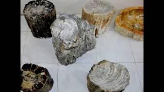 IndoGemstone - Petrified Wood Table