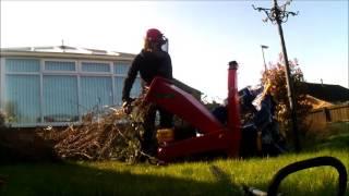 A GARDEN TIDY UP