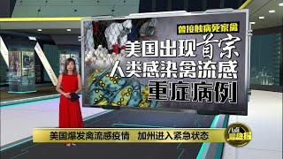 美国禽流感疫情持续扩大   加州宣布进入紧急状态 | 八点最热报 19/12/2024