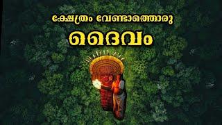 കാടിനുള്ളിലെ ദേവതയെ തേടി പതിനായിരങ്ങൾ എത്തുന്ന കാവ്...ഇരിണാവ് നങ്ങോളങ്ങര കാവ്