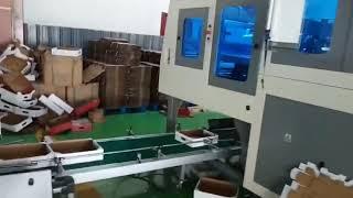 Automatic carton box forming machine for fruit, vegetable tray