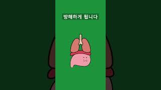 왜 밥을 먹고 뛰면 배가 아플까?