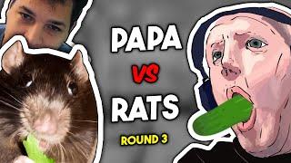 The Papaonwing VS Discord Rats Finale ft. Goobr