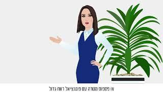 דיאנה שריבקר | סרטון אנימציה תדמיתי | המיתוג הדיגיטלי