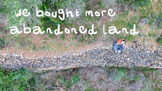 WE BOUGHT MORE ABANDONED LAND! How Much We Paid  & The FULL Story [12 months]