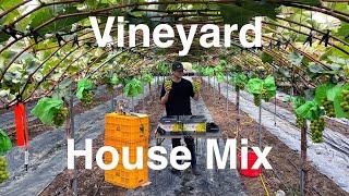 [Mix] Vineyard House Mix | 샤인머스켓 먹을 때 듣기 좋은 하우스 음악