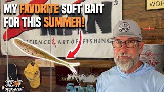 My Favorite Soft Bait For This Summer! | Flats Class YouTube