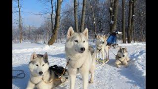 АКТИВНЫЙ ЗИМНИЙ ОТДЫХ Парк-отель "Воздвиженское"
