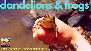 ASMR | visiting dandelion village & frog-town in a construction zone