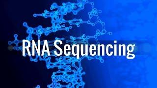 RNA Sequencing