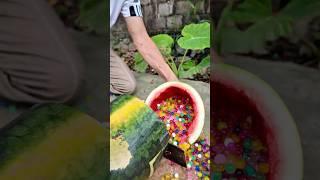 Watermelon Gives Birth to Worms?!  #couple #martialarts #comedyshorts #funnybaby