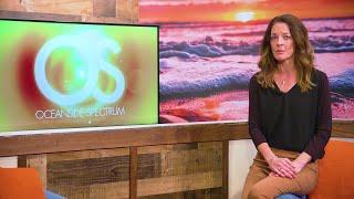 Oceanside Spectrum: November 2023 Promo