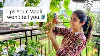 Tips your Maali or Professional Gardeners won't tell you!