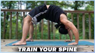 BODYWEIGHT BRIDGE: Train Your Spine, Reduce Back Pain, Boost Athleticism