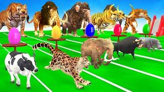 ANIMAL RACE Elephant,Cow, Lion, Tiger, Cheetah, T-rex, COW Planet Zoo Race Animal Running Race