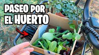 They send me an ELECTRIC BIKE!! ️ And I'm going to get PLANTS  Fiido T1 Pro | La Huerta de Ivan