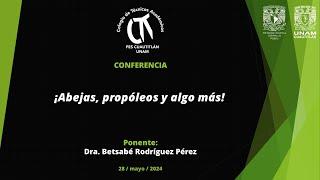 ¡Abejas, propóleos y algo más!
