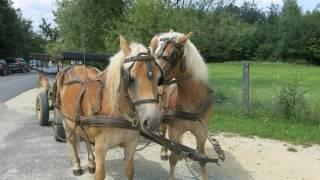 Travel Hungary Western Countryside with Glen & Leslie