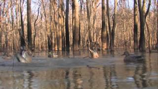 War Eagle Boats Hunting Commercial