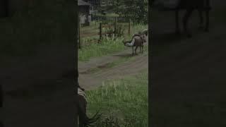 Rockstar Genius Drunk Enters Town to Pay Bounty Red Dead 2 Online