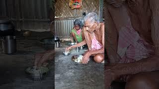 old age couple  #oldage #couplelife #villagelife #poorlife #rurallife #dukhinimayerjibon