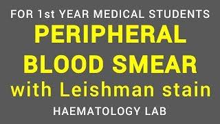 PERIPHERAL BLOOD SMEAR - LEISHMAN STAIN | HAEMATOLOGY LAB | PHYSIOLOGY