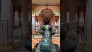 Kunkeshwar Shiv Mandir Sindhudurg - Virtual Tour of Shri Kshetra Kunkeshwar Devgad Konkan