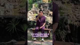 Healing Energy and Violet Light Transmission on December 3rd by Master Mantak Chia. Join now