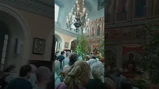 23.06.2024.День Святой Троицы.