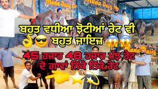 27 September 2024 ਫ਼ੋਨ 8427407053ਮਾਣੇ ਬਾਈ ਕੋਲ 8 ਟੋਪ ਦੇ ਨਗੀਨੇ ਰੇਟ ਬਿਲਕੁਲ ਨਿੱਕੇ ਨਿੱਕੇ ⭐️⭐️