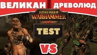 Великан VS Древолюд  | Тесты Total War: Warhammer