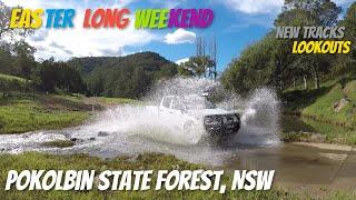 Pokolbin state forest, NSW [ 4WD ]