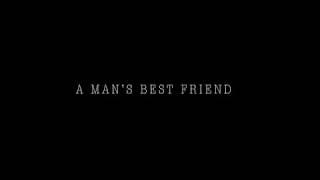 A Man’s Best Friend
