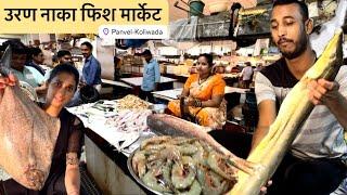 खूप स्वस्त आहे इकड़े ताजी ताजी मासळी । पनवेल कोळीवाडा । Uran Naka Fish Market