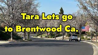 Tara Lets go to Brentwood Ca.