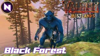 Guide to BLACK FOREST: Trolls, Burial Chambers, Copper & Tin | 02 | Valheim: Mistlands | Lets Play