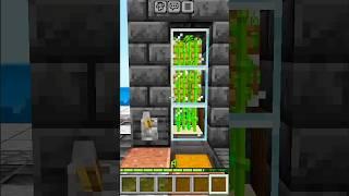 I MADE A SUGAR CANE FARM | MINECRAFT | KIDU10