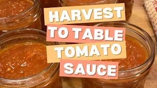 Harvest to Table - Garden Fresh Tomato Sauce! 